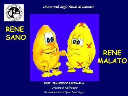 Università degli Studi di Catania PROF. FRANCESCO RAPISARDA Docente di Nefrologia Corso di Laurea e Spec. Nefrologia RENE SANO RENE MALATO.