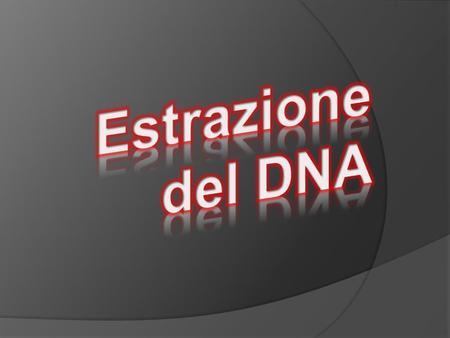 Estrazione del DNA.