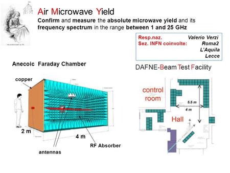 Air Microwave Yield DAFNE-Beam Test Facility