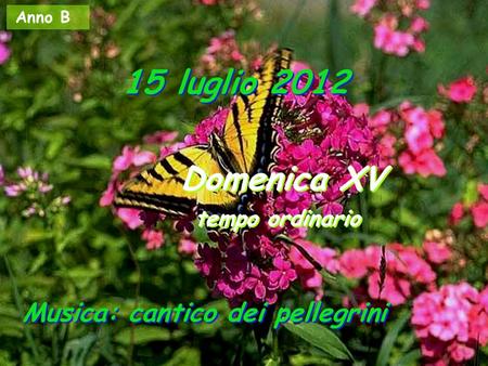 Anno B 15 luglio 2012 Domenica XV tempo ordinario Domenica XV tempo ordinario Musica: cantico dei pellegrini.
