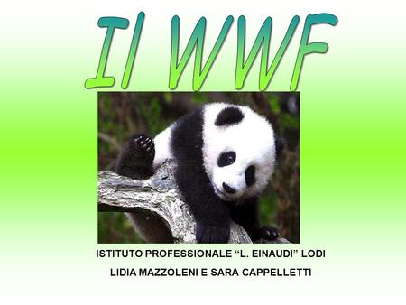Il WWF ISTITUTO PROFESSIONALE “L. EINAUDI” LODI