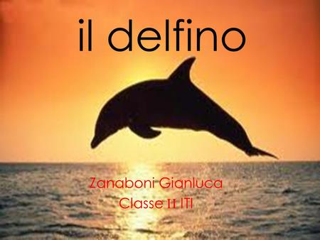 Il delfino Zanaboni Gianluca Classe II ITI. Indice: - Cosè un delfino… - Caratteristiche Fisiche - Llimentazione -Il branco - La riproduzione.