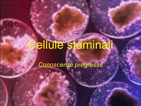 Cellule staminali Conoscenze pregresse.