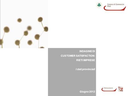INDAGINE DI CUSTOMER SATISFACTION: RIETI IMPRESE I dati provinciali Giugno 2012.