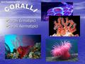 Coralli Ermatipici Coralli Aermatipici