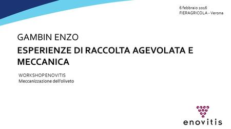 ESPERIENZE DI RACCOLTA AGEVOLATA E MECCANICA GAMBIN ENZO WORKSHOP ENOVITIS Meccanizzazione dell’oliveto 6 febbraio 2016 FIERAGRICOLA - Verona.