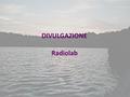 DIVULGAZIONE Radiolab 1CSN5 - 23-25 Luglio 2013. Progetto RADIOLAB RADIOactivity LABoratory Responsabile Nazionale: Mariagabriella Pugliese/Giuseppina.