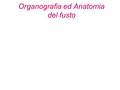 Organografia ed Anatomia del fusto