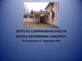 ISTITUTO COMPRENSIVO BOCCHI SCUOLA SECONDARIA «MALPELI» Via Cornacchia 9 – Baganzola (PR)