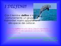 Con il termine delfino si indica comunemente un gruppo di mammiferi marini appartenenti alla specie dei cetacei. Il termine delfino talvolta viene utilizzato.
