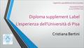 Digital DS e spendibilità dei titoli universitari Università di Ferrara 23-24 novembre 2015 Diploma supplement Label L’esperienza dell’Università di Pisa.