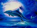 Delfini. Cos’è il delfino Con il termine delfino si indica comunemente un gruppo di mammiferi marini appartenenti al gruppo dei cetacei e che raggruppa.