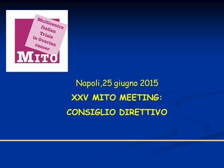 Napoli,25 giugno 2015 XXV MITO MEETING: CONSIGLIO DIRETTIVO.