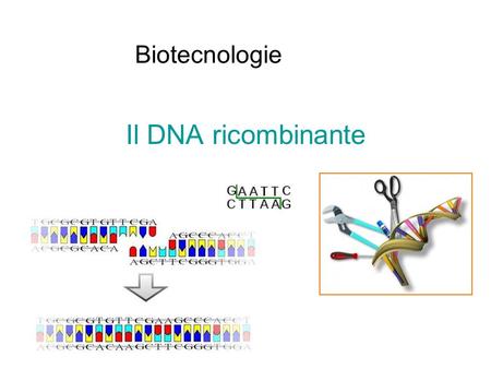 Biotecnologie Il DNA ricombinante.
