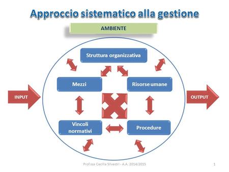 Struttura organizzativa Risorse umaneMezzi Procedure Vincoli normativi INPUTOUTPUT AMBIENTE Prof.ssa Cecilia Silvestri - A.A. 2014/20151.