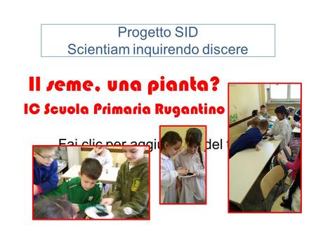 Fai clic per aggiungere del testo Progetto SID Scientiam inquirendo discere Il seme, una pianta? IC Scuola Primaria Rugantino.