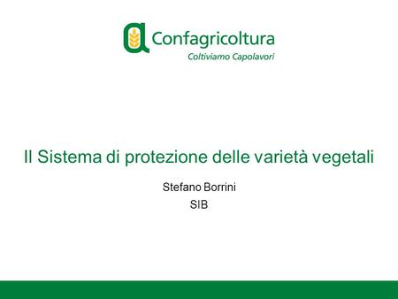 Il Sistema di protezione delle varietà vegetali Stefano Borrini SIB.