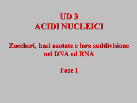 UD 3 ACIDI NUCLEICI Zuccheri, basi azotate e loro suddivisione nel DNA ed RNA Fase I.