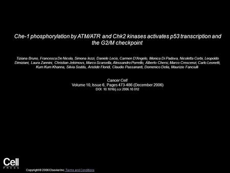 Che-1 phosphorylation by ATM/ATR and Chk2 kinases activates p53 transcription and the G2/M checkpoint Tiziana Bruno, Francesca De Nicola, Simona Iezzi,
