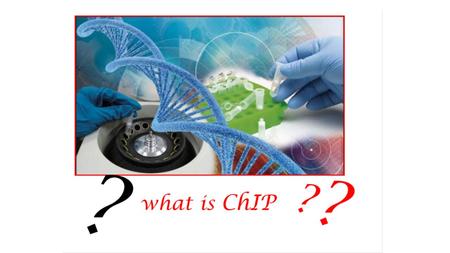 Il principio della ChIP: arricchimento selettivo della frazione di cromatina contenente una specifica proteina La ChIP può anche esser considerata.