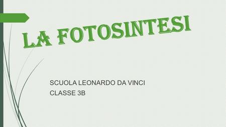 LA FOTOSINTESI SCUOLA LEONARDO DA VINCI CLASSE 3B.