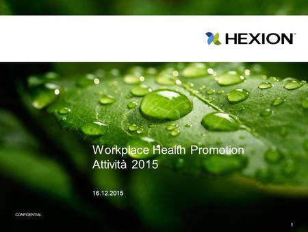 Workplace Health Promotion Attività 2015 16.12.2015 1 CONFIDENTIAL.