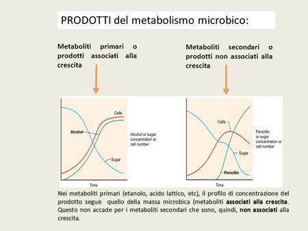 PRODOTTI del metabolismo microbico: