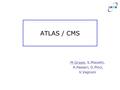 ATLAS / CMS M.Grassi, S.Miscetti, A.Passeri, D.Pinci, V.Vagnoni.
