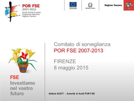 Comitato di sorveglianza POR FSE 2007-2013 FIRENZE 8 maggio 2015 Settore AUDIT - Autorità di Audit POR FSE.