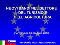 INTERREG IIIA ITALIA SLOVENIA 1 NUOVI BANDI NEL SETTORE DEL TURISMO E DELL’AGRICOLTURA Pordenone 16 maggio 2005.