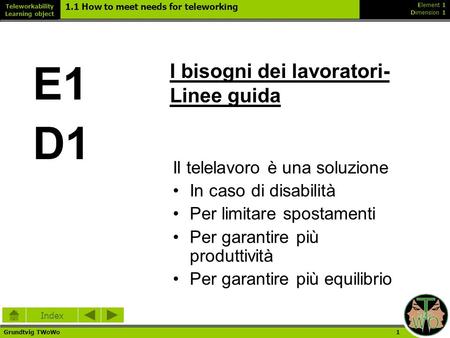 Element 1 Dimension 1 1.1 How to meet needs for teleworking Grundtvig TWoWo 1 Teleworkability Learning object Index I bisogni dei lavoratori- Linee guida.