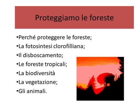 Proteggiamo le foreste Perché proteggere le foreste; La fotosintesi clorofilliana; Il disboscamento; Le foreste tropicali; La biodiversità La vegetazione;