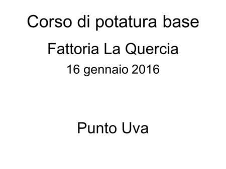 Corso di potatura base Fattoria La Quercia 16 gennaio 2016 Punto Uva.
