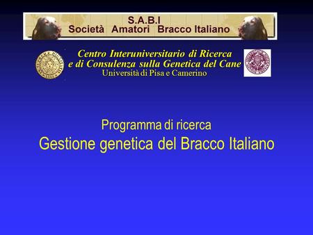 Centro Interuniversitario di Ricerca e di Consulenza sulla Genetica del Cane Università di Pisa e Camerino Programma di ricerca Gestione genetica del Bracco.