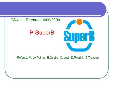 CSN1 - Ferrara 14/09/2009 P-SuperB proposte finanziarie Referee: M. de Palma, B.Gobbo, C. Luci, D.Pedrini, C.Troncon.