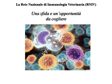 La Rete Nazionale di Immunologia Veterinaria (RNIV) Una sfida e un’opportunità da cogliere.