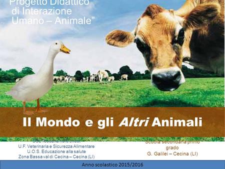 “Progetto Didattico di Interazione Umano – Animale” USL Toscana nord ovest U.F. Veterinaria e Sicurezza Alimentare U.O.S. Educazione alla salute Zona Bassa.