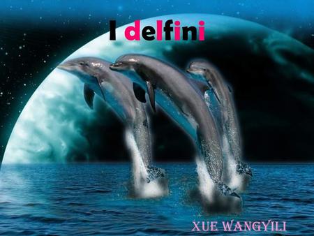 I delfini Xue wangyili.