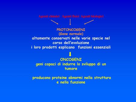 Agenti chimici Agenti fisici Agenti biologici PROTONCOGENI (Gene normale) altamente conservati nelle varie specie nel corso dell’evoluzione i loro.