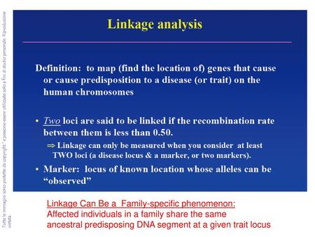 Linkage Can Be a  Family-specific phenomenon: