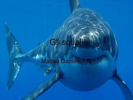 Gli squali Matteo Daniele 1 D.