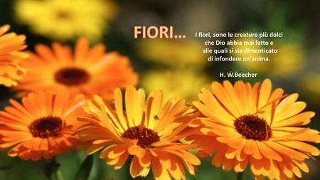 FIORI… I fiori, sono le creature più dolci che Dio abbia mai fatto e