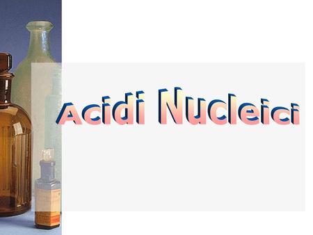 Acidi Nucleici.