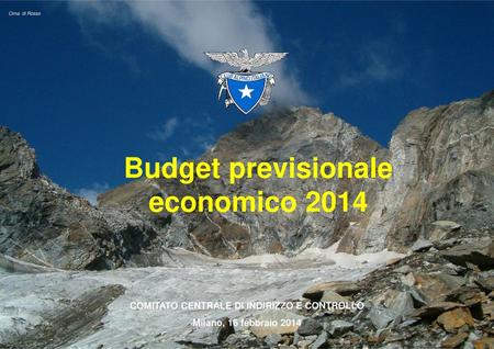 Budget previsionale economico 2014