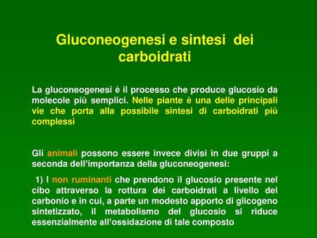 Gluconeogenesi e sintesi dei carboidrati