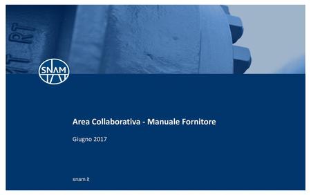 Area Collaborativa - Manuale Fornitore
