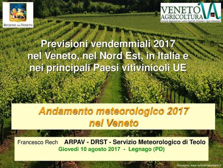 Previsioni vendemmiali 2017 nel Veneto, nel Nord Est, in Italia e