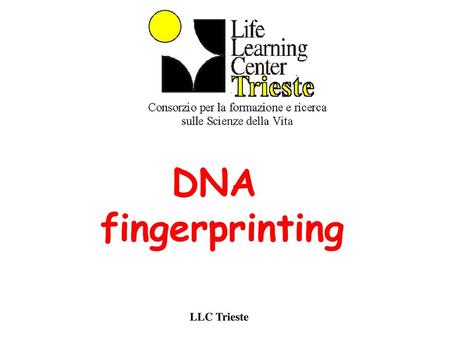 DNA fingerprinting LLC Trieste.