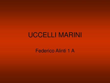 UCCELLI MARINI Federico Alinti 1 A.