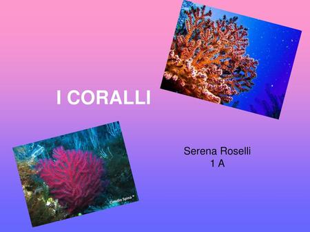 I CORALLI Serena Roselli 1 A.